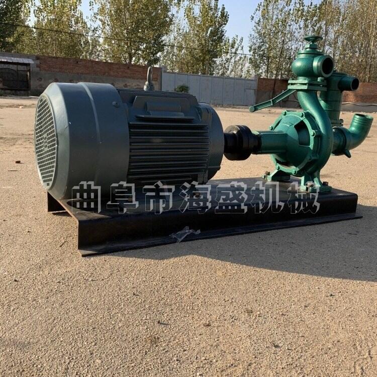 22千瓦電機水泵高揚程噴灌水泵渦輪噴槍