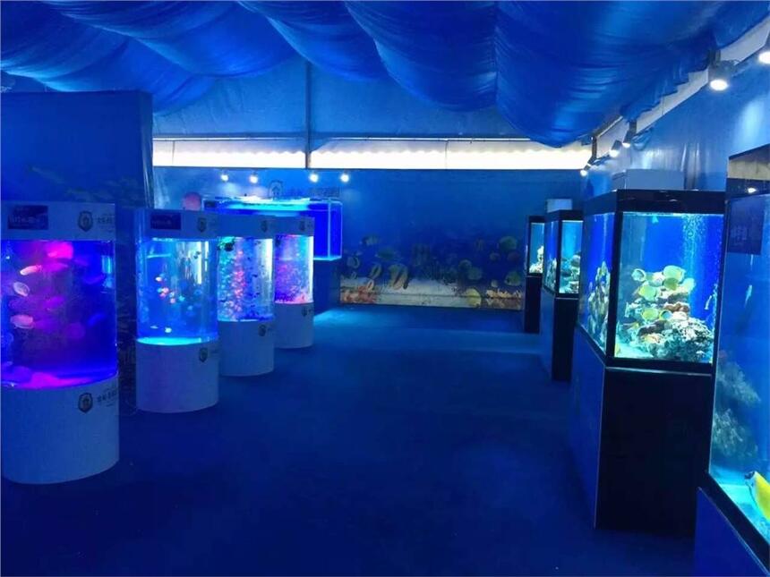 海洋主題展館租賃特色海洋生物魚缸展珊瑚展