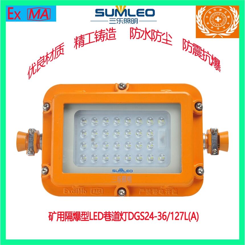 礦用隔爆型LED小方形巷道燈DGS24/127L(A)