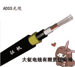 費(fèi)adss光纜工廠電話