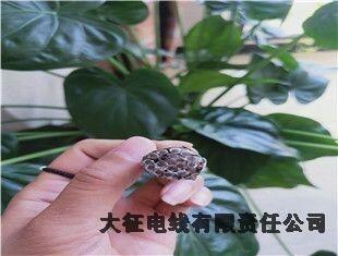 鋁包鋼芯鋁絞線廠家臺江電話