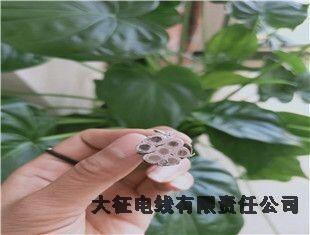 耐熱鋼芯鋁合金絞線廠家科爾沁區(qū)電話