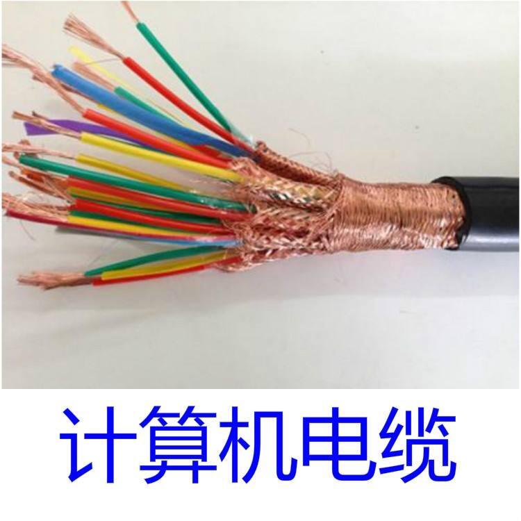 DJYPV計算機(jī)控制電纜廠家國標(biāo)價格