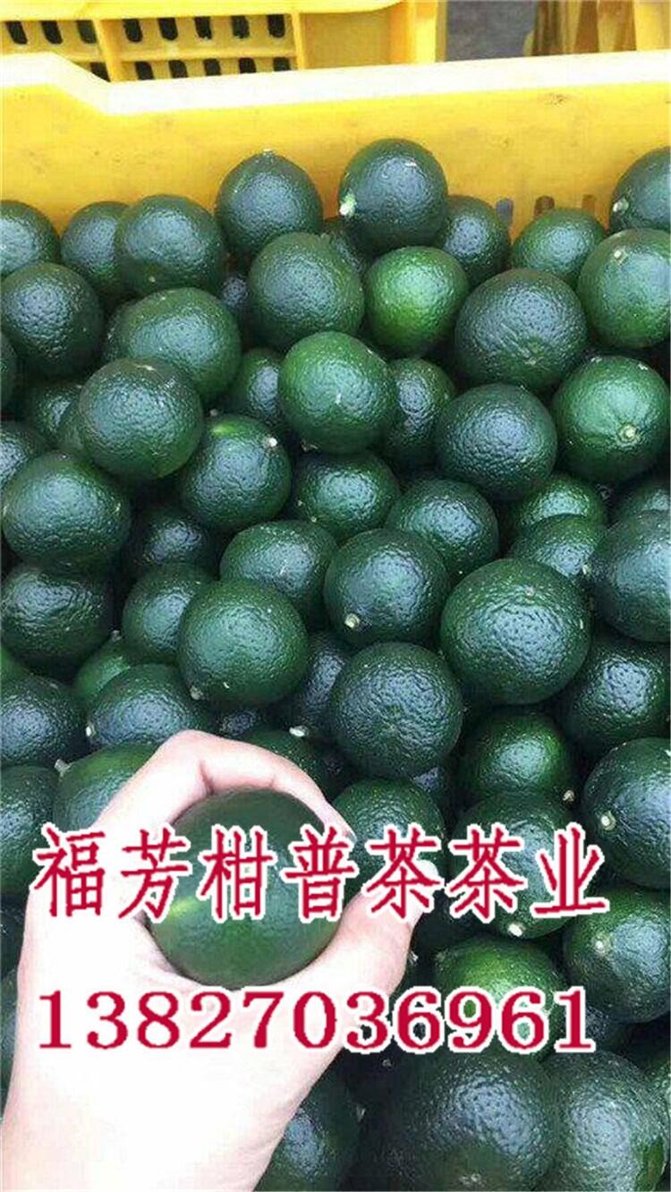 新會(huì)小青柑十大牌子_新會(huì)小青柑普茶_御廣陳廠(chǎng)家加工批發(fā)零售