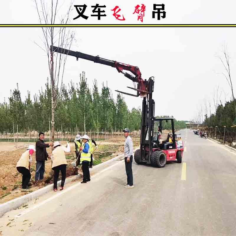 叉車吊車 叉車門架飛臂吊 3噸5噸叉車起重機(jī)