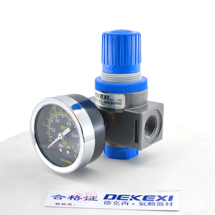 德克西DEKEXI氣缸LBR300減壓器,臺灣電磁閥,無桿機(jī)械手氣缸,新洋亞德客同款