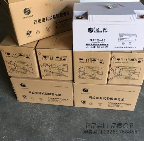 安徽圣陽蓄電池12V100AH閥控式蓄電池