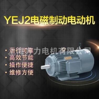 上海左力 YEJ制動(dòng)電機(jī) YEJ100L-2 (3kw)