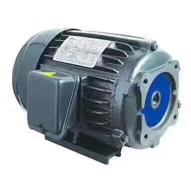 3-PHASE INDUCTION MOTOR 油泵電機(jī)