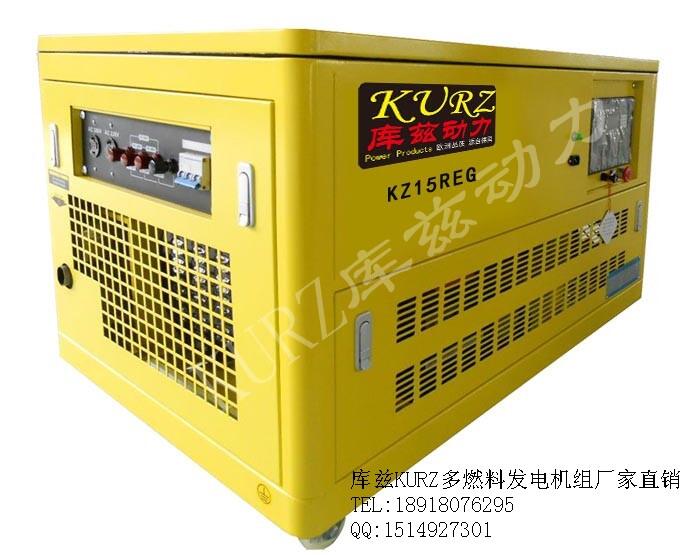 樂陵便攜式15千瓦汽油發(fā)電機工廠報價