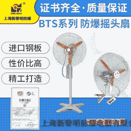 新黎明防爆搖頭扇電扇 BTS(FB)-750B壁式帶搖頭開關國標質(zhì)量保證