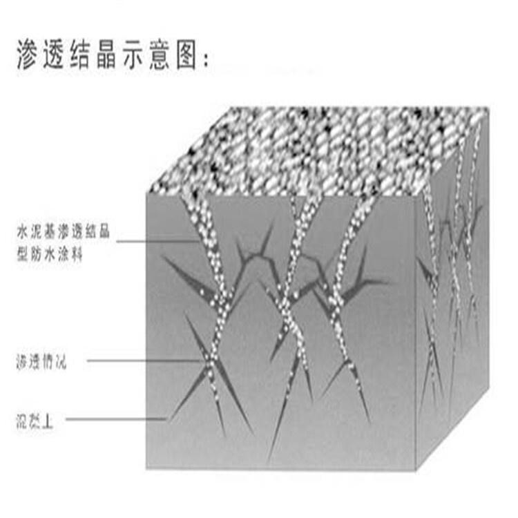 水泥基滲透結(jié)晶型防水涂料供應(yīng)廠家