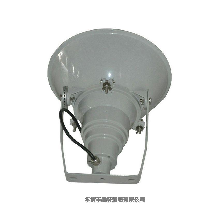 鼎軒照明防震投光燈KYTC9210金鹵燈400W鈉燈黃光220V