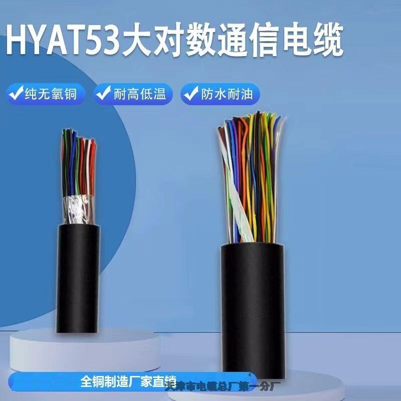 100對(duì)通信電纜HPVV 100*2*0.5MM