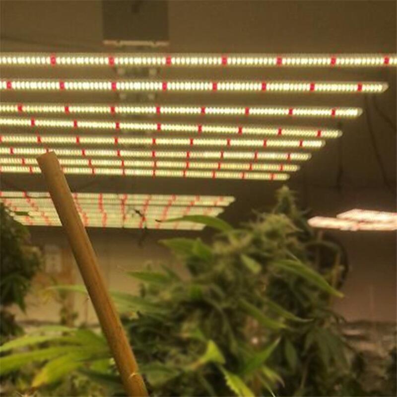 植物燈和正常LED燈有什么區(qū)別？