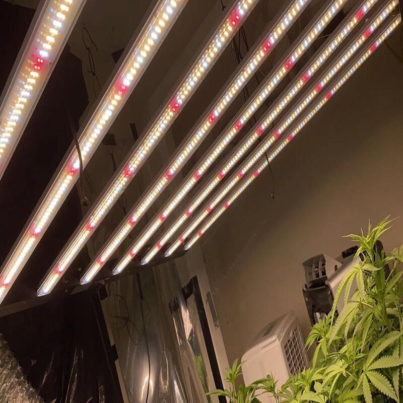 LED植物燈那家做的質(zhì)量比較好？