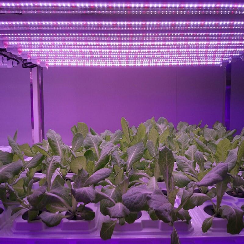 湖南led植物生長燈 全光譜led植物生長燈價格 植物生長燈多少錢？