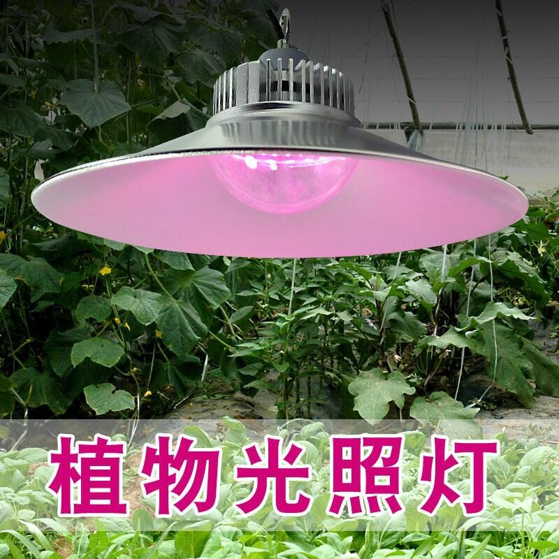 led植物補光燈結(jié)構(gòu)介紹