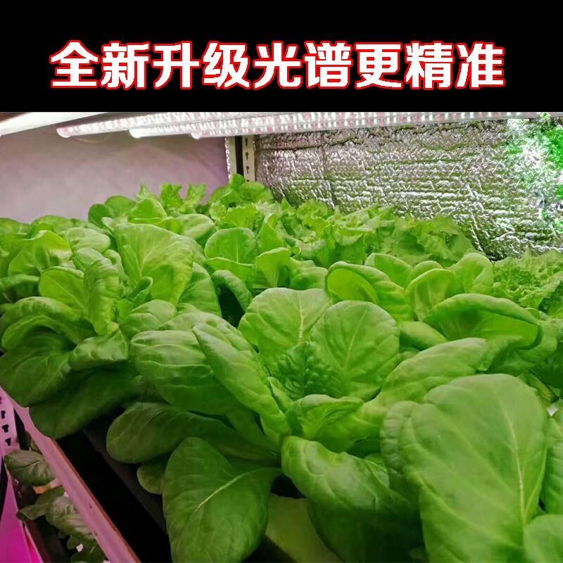 福州哪里有LED植物燈賣？深圳宏陽照明專業(yè)生產(chǎn)LED植物燈 溫室LED植物燈