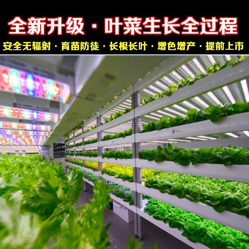 梅州LED植物燈哪個(gè)品牌好？深圳宏陽照明專業(yè)生產(chǎn)大棚L(fēng)ED植物燈 溫室LED植物燈