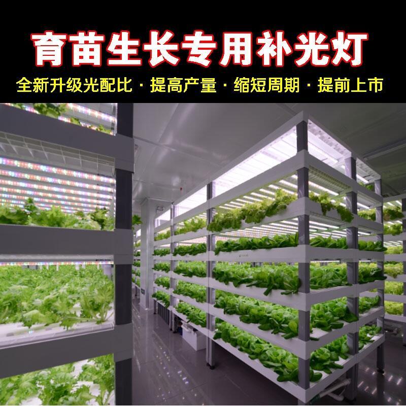 安順植物生長(zhǎng)燈廠家批發(fā)LED植物生長(zhǎng)燈 1.2米植物生長(zhǎng)燈管