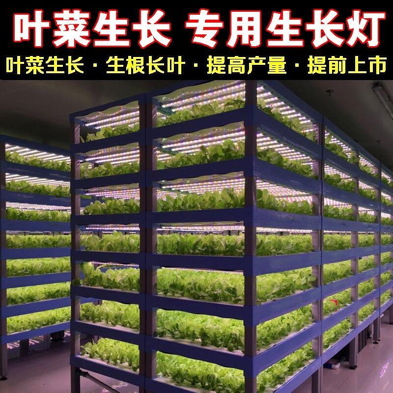 東營(yíng)植物生長(zhǎng)燈廠家批發(fā)LED植物生長(zhǎng)燈 1.2米植物生長(zhǎng)燈管