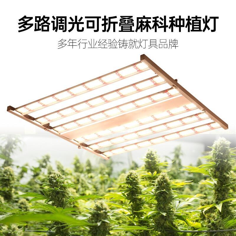 植物燈廠家深圳宏陽照明生產(chǎn)明緯電源三星燈珠八爪魚植物燈