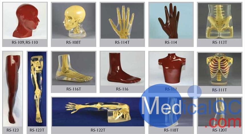 美國RSD人體部分模體，RSD RS-114T手臂模體,RSD RS-123T腿部模體