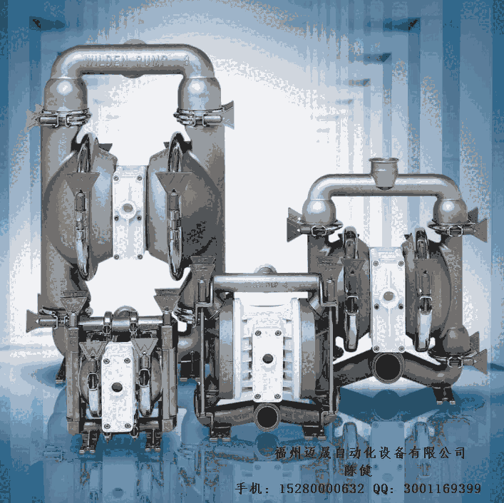XPX1/SSAAA/TEU/TF/STF/0070威爾頓食品級(jí)隔膜泵
