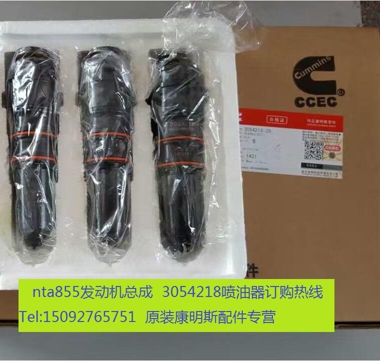 250（常閉）備用發(fā)電機組NTA855-G1A噴油器3054218油咀安裝教程