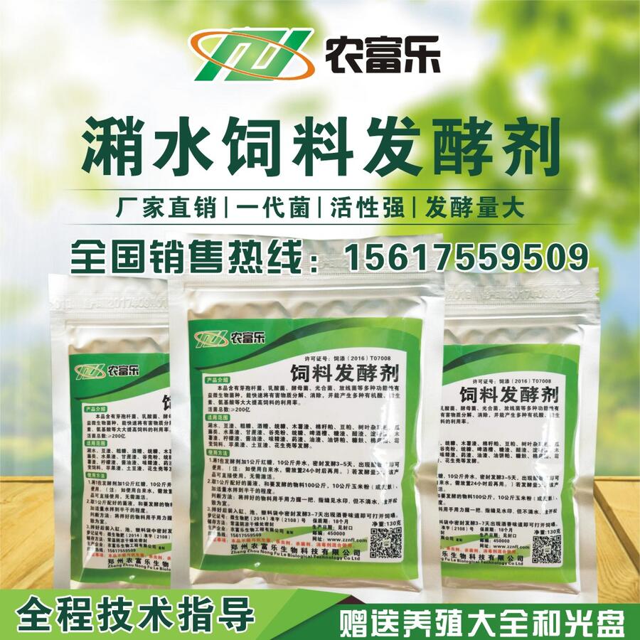 生潲水喂豬吃的不多怎么辦用啥處理好