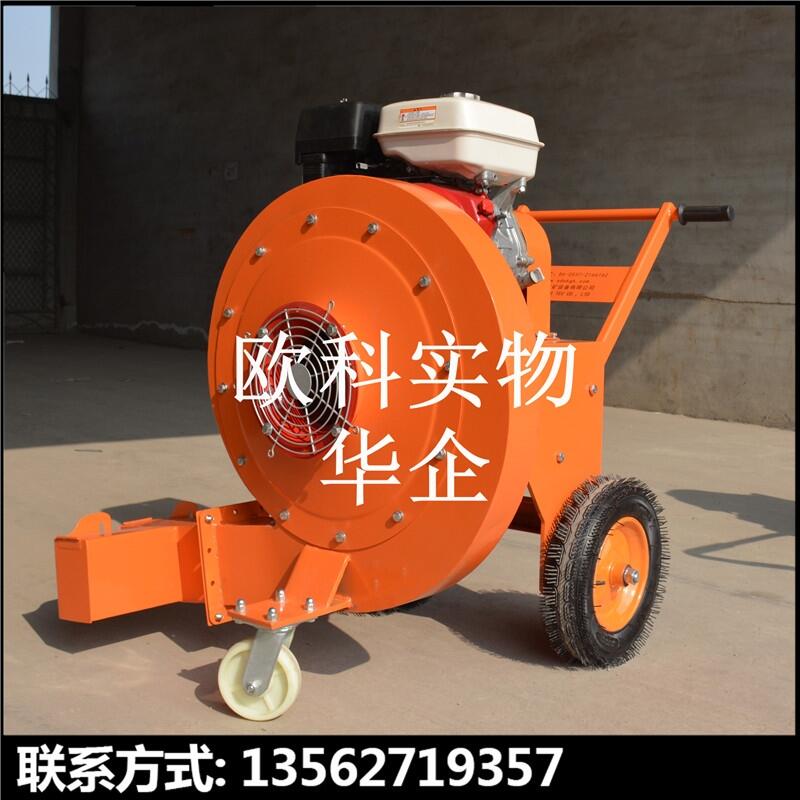 200型施工路面落葉清掃器公路吹風(fēng)機(jī)手提式落葉吹風(fēng)機(jī)