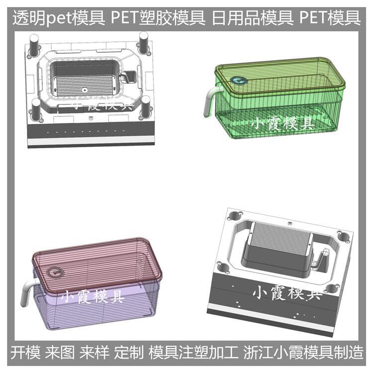 黃巖模具生產廠家 透明PET食品盒模具 /大型精密注塑加工