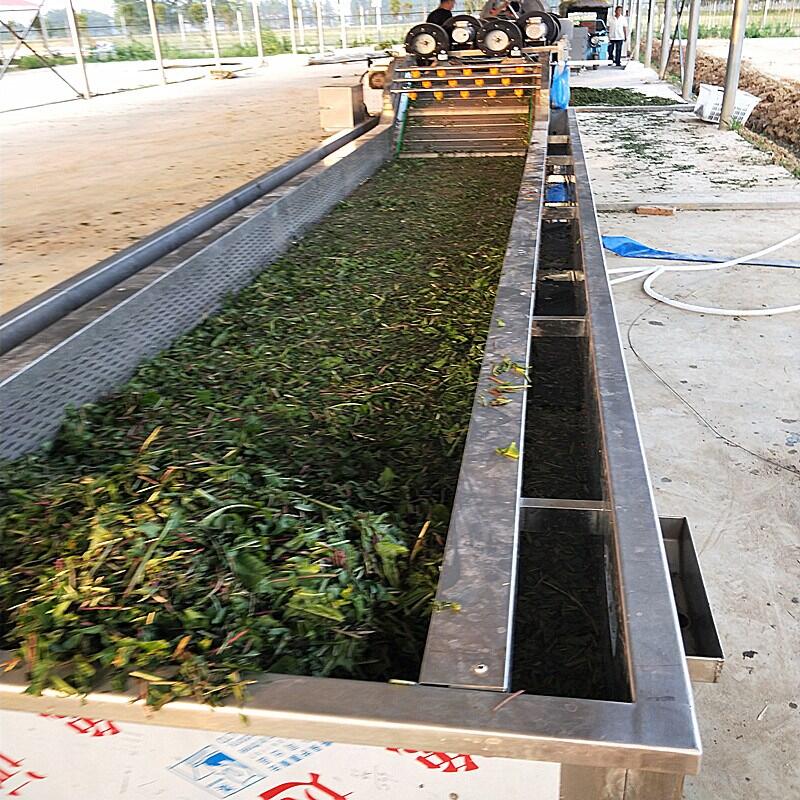 小型毛豆清洗機(jī) 毛豆清洗設(shè)備 毛豆清洗蒸煮流水線