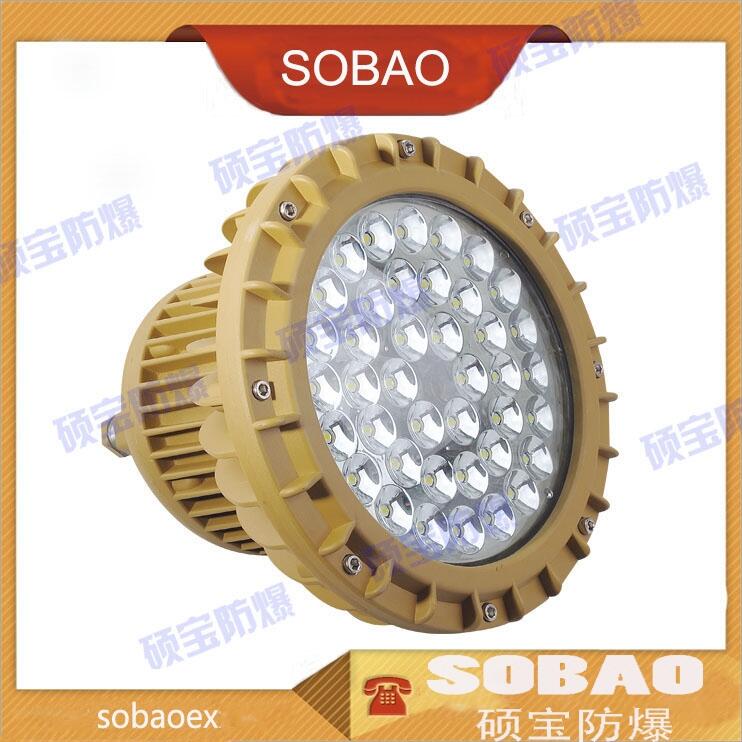 SBD85-70w80w100w120w免維護(hù)防爆LED燈