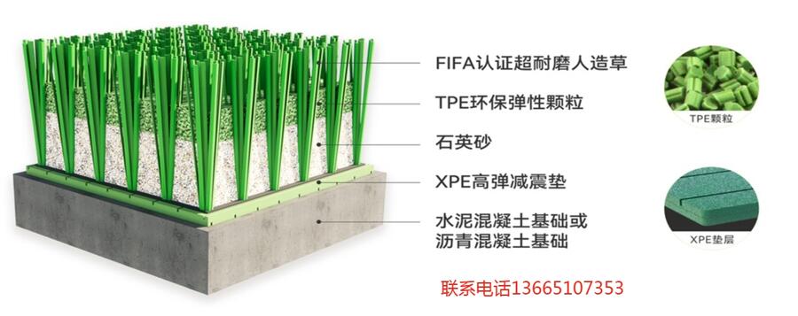 西藏修建一個標準足球場要多少錢