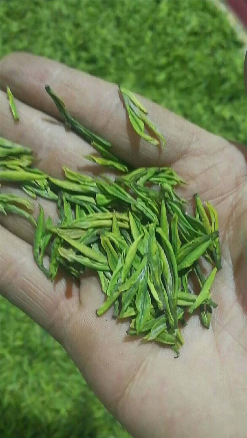 批發(fā)翠芽綠茶恩施富硒茶葉