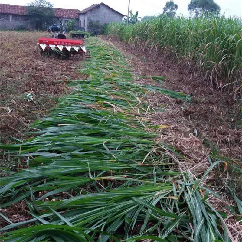 冬季干燥天氣干草收割機(jī) 收割機(jī)湖北手扶專用割臺(tái)農(nóng)業(yè)種