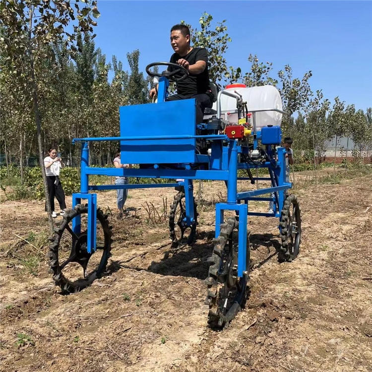 四輪汽油打藥機農(nóng)田噴藥車蔬菜大鵬打藥機-