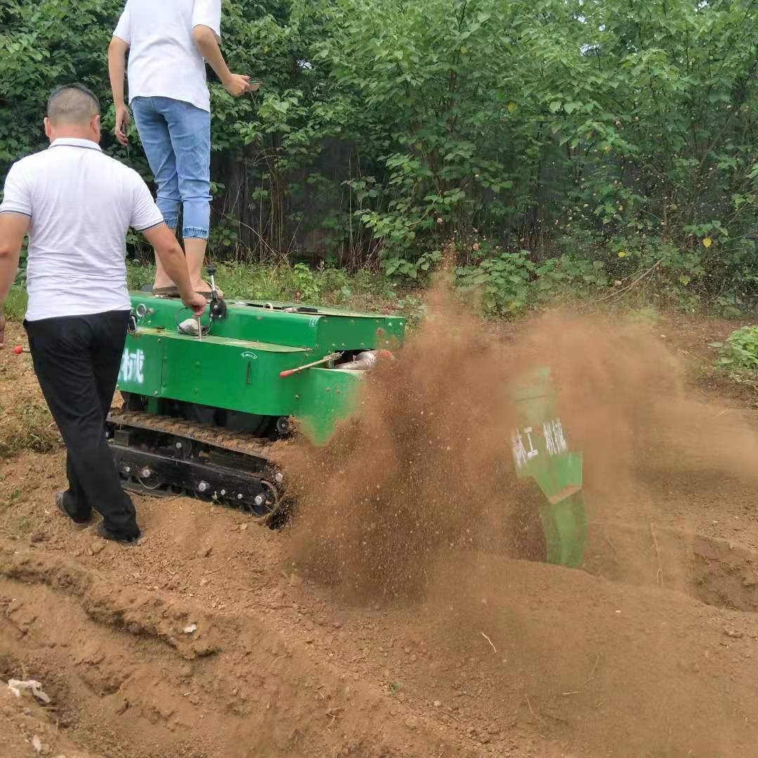 重慶云陽縣履帶式果園碎草機型號