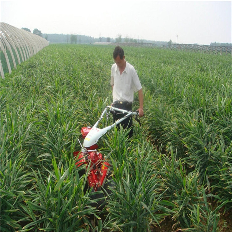 新聞:興安核桃園除草旋耕機(jī)廠家