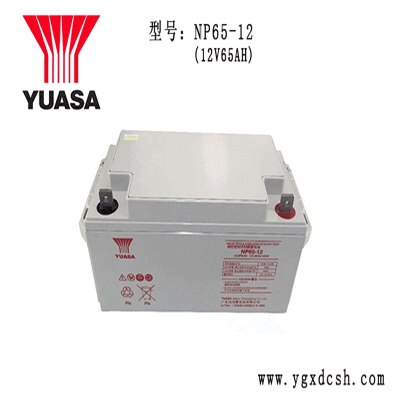 湯淺蓄電池NP85-12 12v85ah永州代理報價