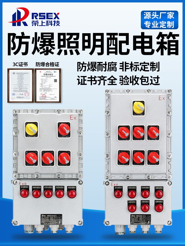 防爆配電箱動力照明電控箱照明動力儀表檢修柜隔爆開關電源按鈕箱