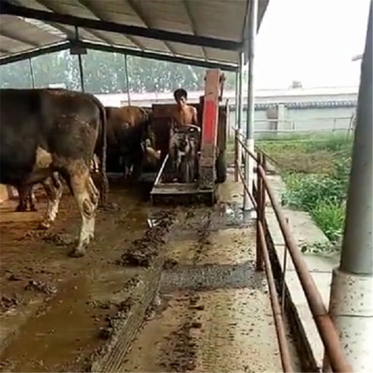 牛場地面清糞車 柴油三輪清糞車 行走式拉糞車