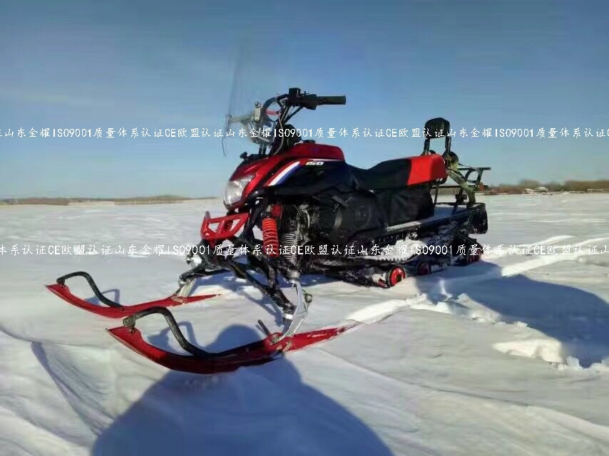 柴門聞犬吠風雪夜歸人供應兒童雪地摩托車 小型雪地摩托車 雪地摩托車廠家