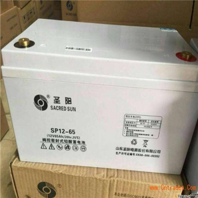 圣陽GFM-200C蓄電池2V200AH鉛酸蓄電池