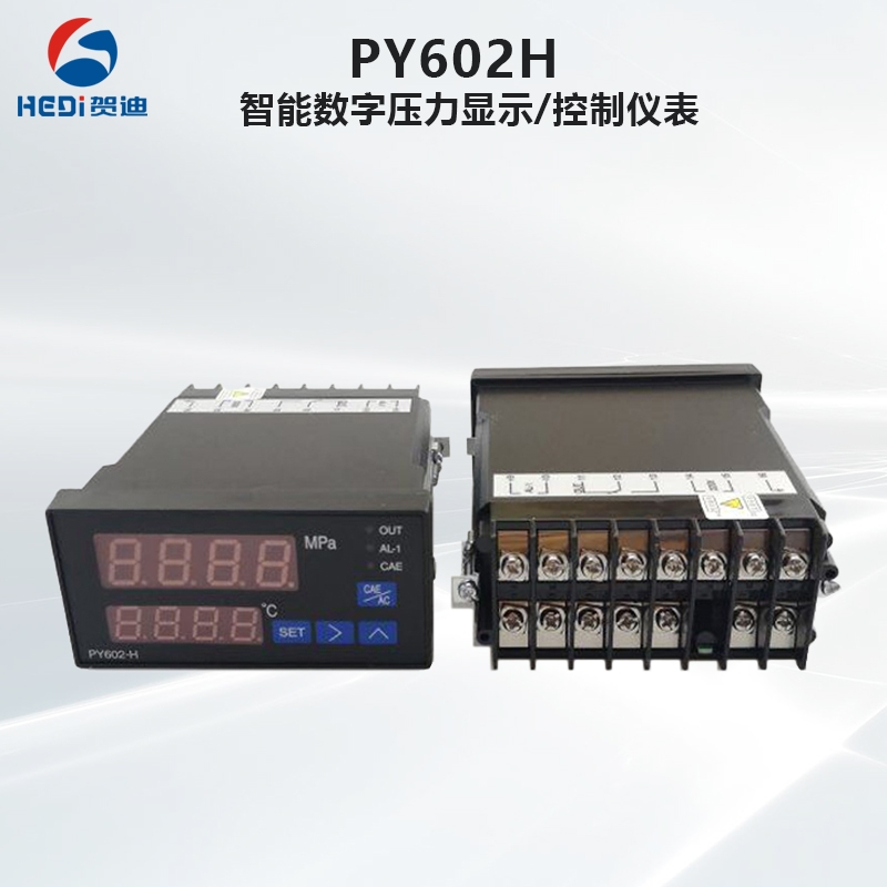 PY602H智能數(shù)字溫度壓力表擠出機 歡迎咨詢