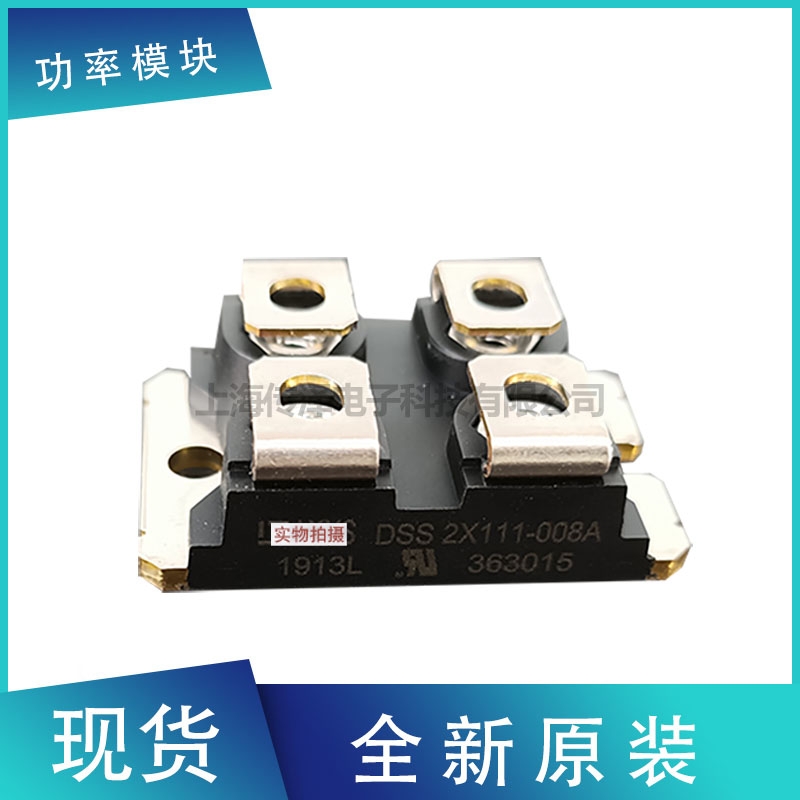 德國艾賽斯二極管模塊DSS2X111-008A DSS2X81-0045A現(xiàn)貨直銷