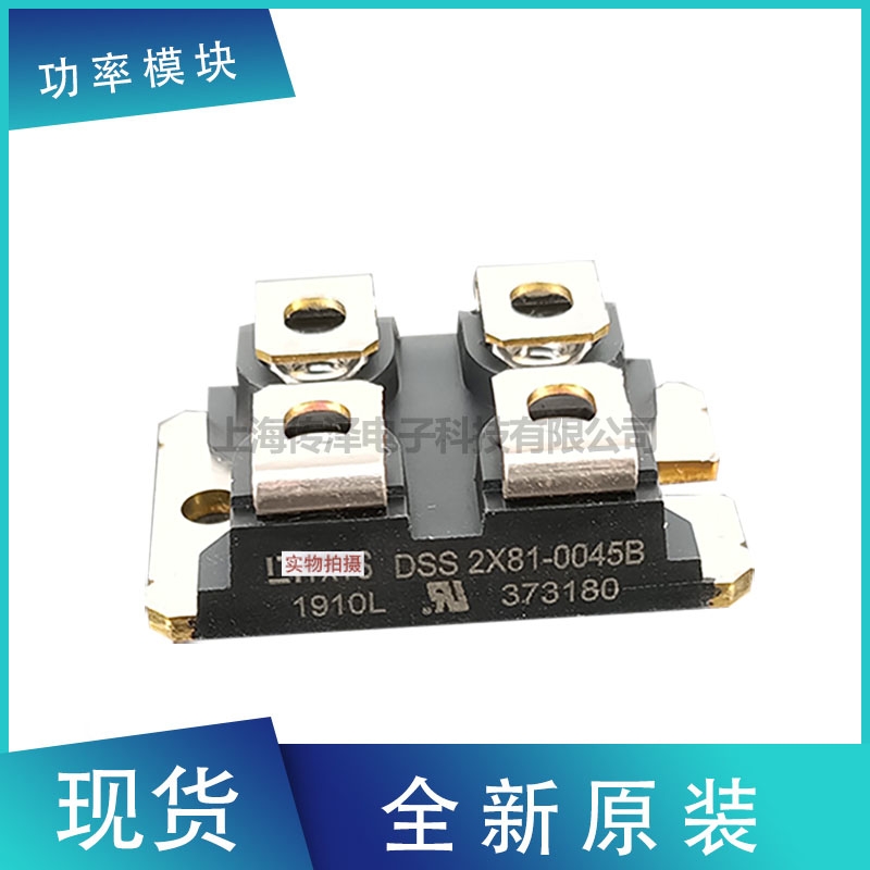 德國艾賽斯二極管模塊DSS2X81-0045B DSS2X61-01A現(xiàn)貨直銷