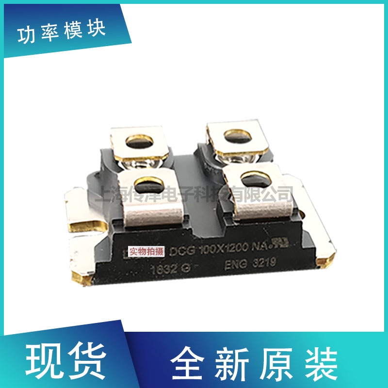 德國艾賽斯二極管模塊DSA300I45NA DCG100X1200NA現(xiàn)貨直銷